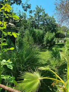 Villa Nueva en la Entrada de Buzescu – P+1 - foto 4