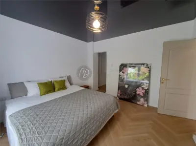 Maison de Luxe MDI, Quartier Gheorghe Doja - foto 23