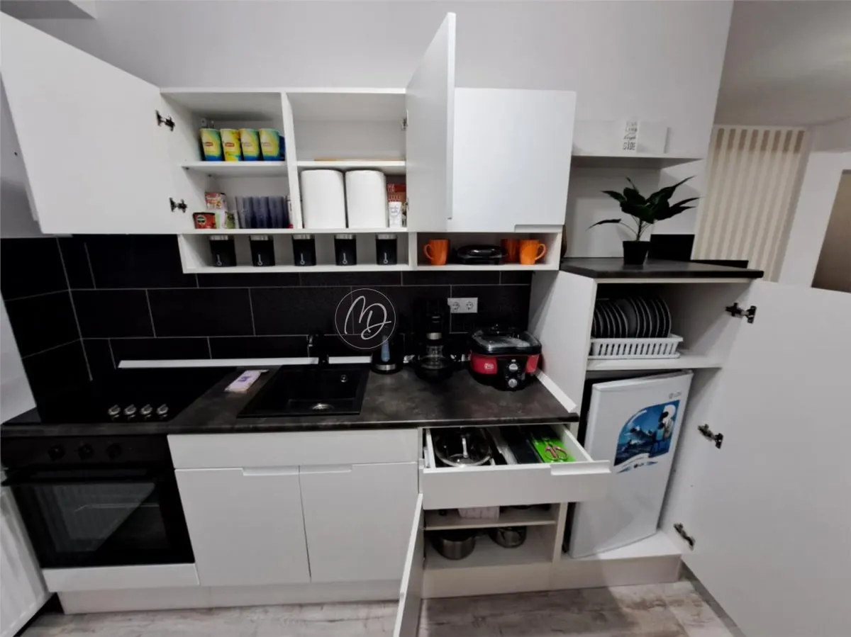 Luxury Apartment, Xenopol Street, Lotus 2 Zone - foto 6