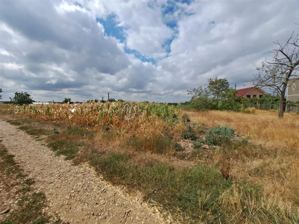 Terrain Urbain à Vendre à Episcopia, Rue Cantaretului - foto 5