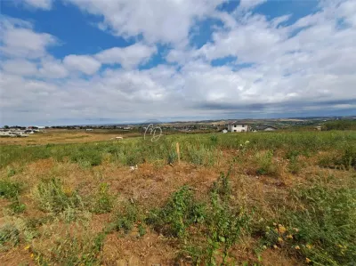 Development Land in Paleu – 9,003 m² Urban Plot - foto 4