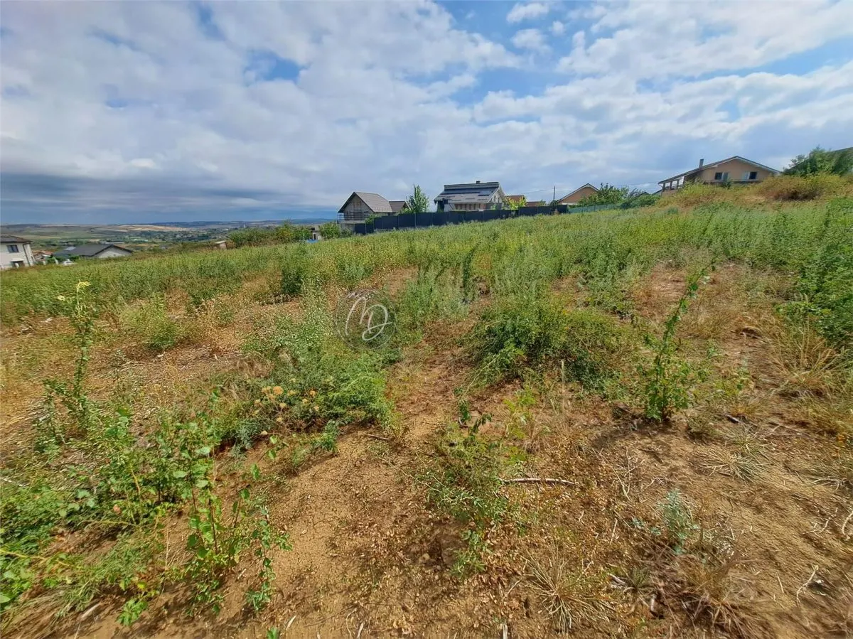 Development Land in Paleu – 9,003 m² Urban Plot - foto 5