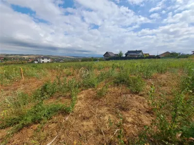 Development Land in Paleu – 9,003 m² Urban Plot - foto 7