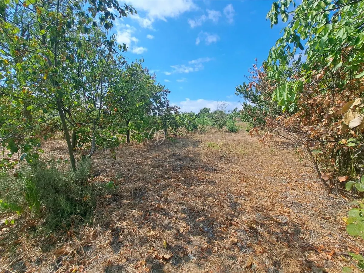 Terrain Urbain à Paleu – 772 m² avec 36.33m de Façade - foto 4