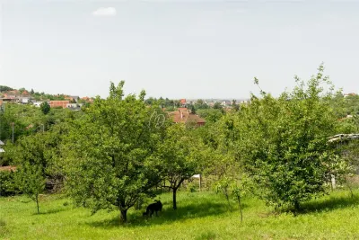 Villa Neuve avec Terrain Généreux, Oradea - foto 11