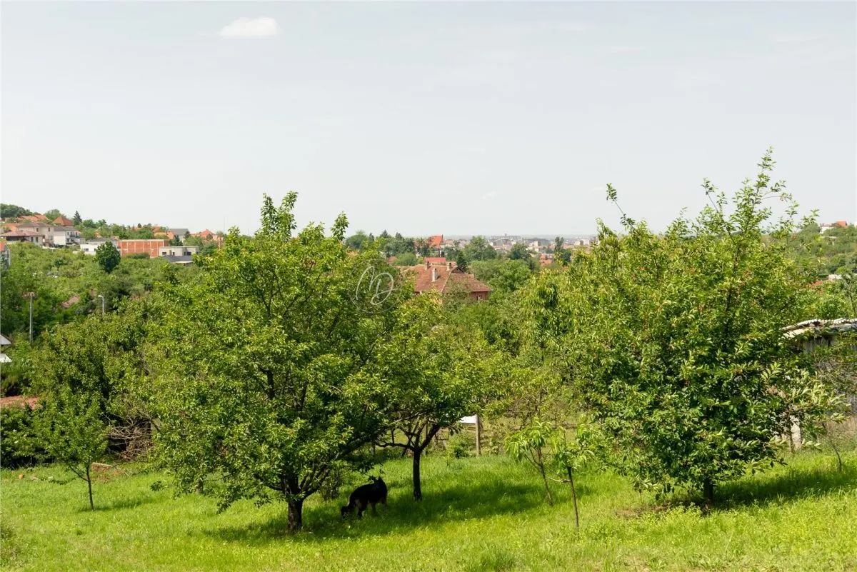 Villa Neuve avec Terrain Généreux, Oradea - foto 11
