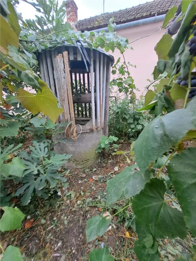 Maison Campagnarde avec Cave à Salard, Bihor – Parcelle de 1.967 m² - foto 3