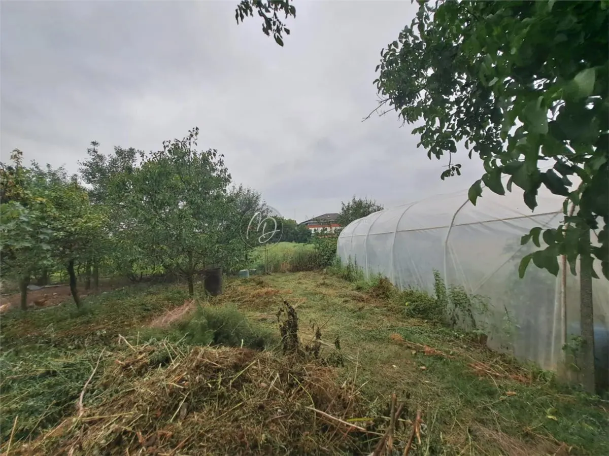 Maison Campagnarde avec Cave à Salard, Bihor – Parcelle de 1.967 m² - foto 6