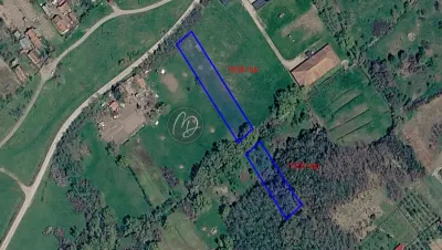 Terrain Exclusif Constructible à Uileacu de Munte, Bihor – 3.043 m² - Uileacu de Munte