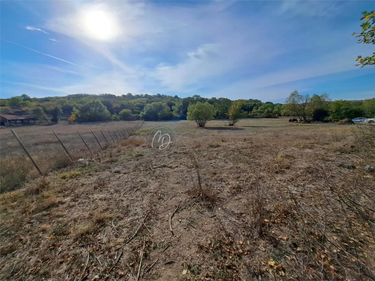 Terrain Exclusif Constructible à Uileacu de Munte, Bihor – 3.043 m² - foto 4