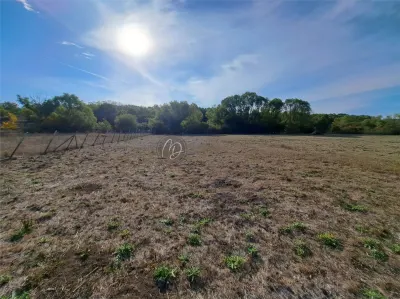 Terrain Exclusif Constructible à Uileacu de Munte, Bihor – 3.043 m² - foto 5