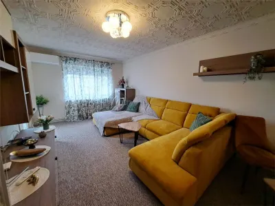 Appartement Entièrement Rénové Centre-Ville Salonta - foto 9