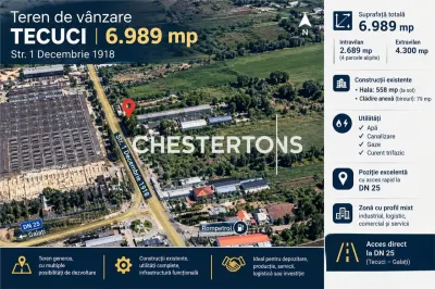 Teren de vanzare intrare Tecuci , potential comercial, retail, industrial, agricol – 6.989 mp - Tecuci