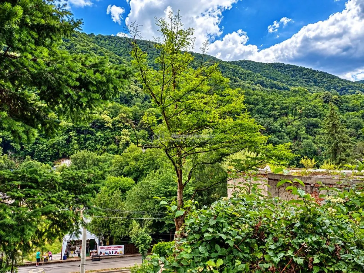Baile Herculane | Villa Miramonte | 3204 sqm Land | City Centre - foto 14