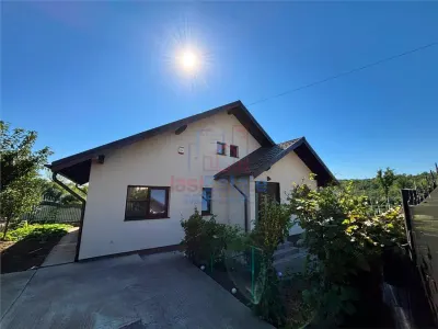 Four-Bedroom House Valea Adanca, Iasi - Iasi
