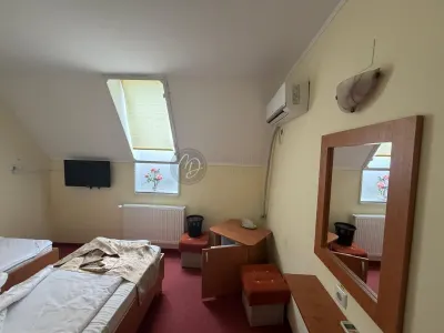 MDI hotel-pensiune Boema Marghita - foto 11
