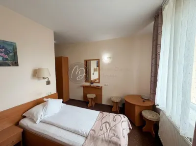 MDI hotel-pensiune Boema Marghita - foto 14
