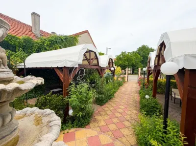MDI hotel-pensiune Boema Marghita - foto 5