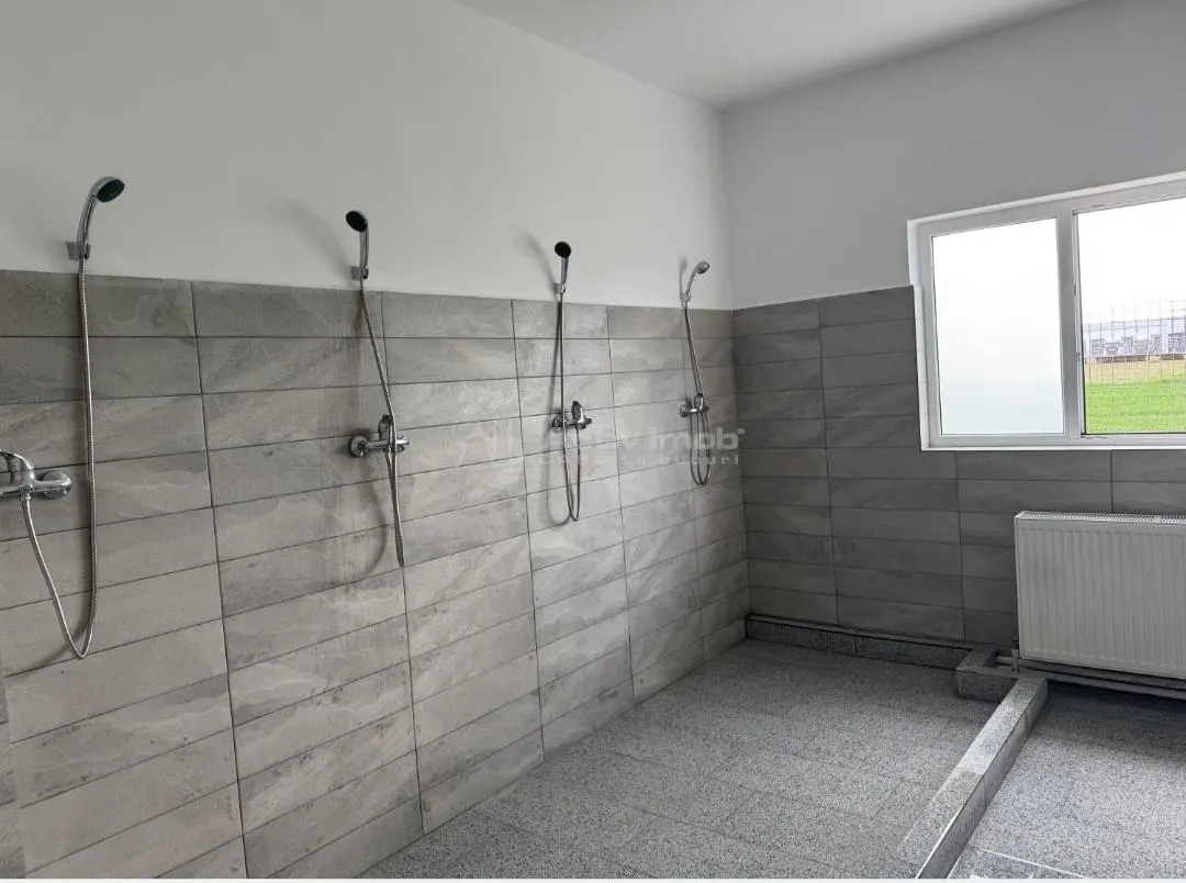 House / villa for rent 20 sqm in Brasov, Carierei area - foto 10