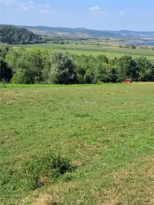 Teren 1,17 ha la pădure cu vedere la râul Olt - foto 2