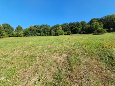 Teren 1,17 ha la pădure cu vedere la râul Olt - foto 11