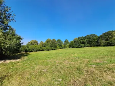 Teren 1,17 ha la pădure cu vedere la râul Olt - foto 12