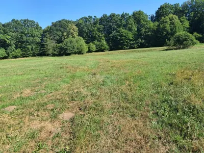 Teren 1,17 ha la pădure cu vedere la râul Olt - foto 13