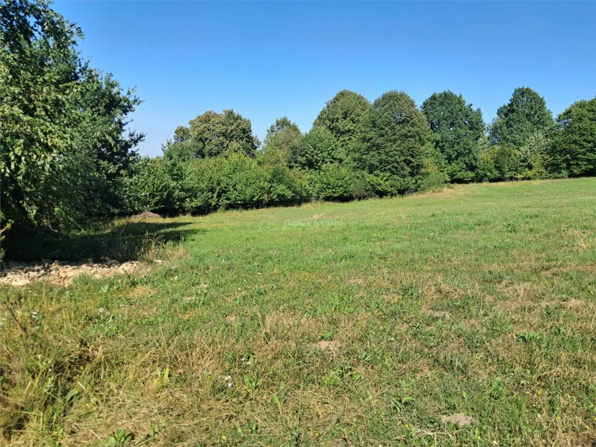 Teren 1,17 ha la pădure cu vedere la râul Olt - foto 14