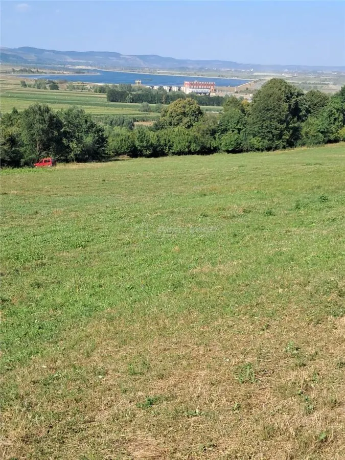 Teren 1,17 ha la pădure cu vedere la râul Olt - foto 3