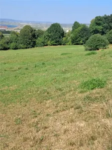 Teren 1,17 ha la pădure cu vedere la râul Olt - foto 4