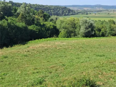 Teren 1,17 ha la pădure cu vedere la râul Olt - foto 5