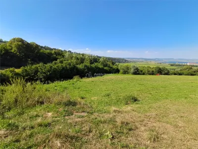 Teren 1,17 ha la pădure cu vedere la râul Olt - foto 6