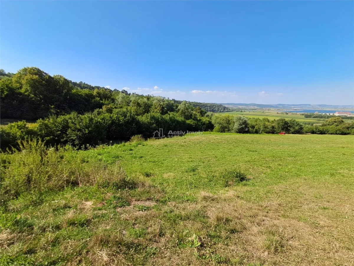 Teren 1,17 ha la pădure cu vedere la râul Olt - foto 6