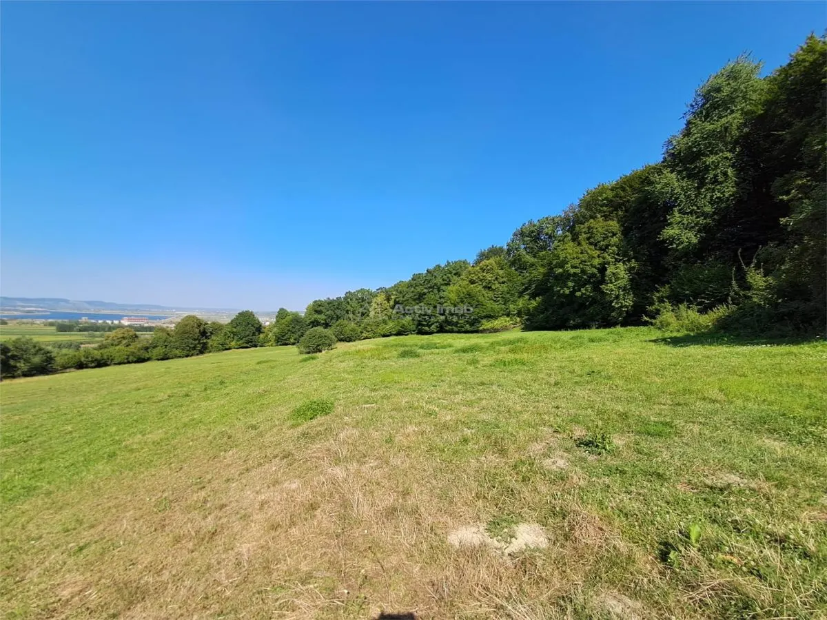 Teren 1,17 ha la pădure cu vedere la râul Olt - foto 7