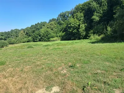 Teren 1,17 ha la pădure cu vedere la râul Olt - foto 8