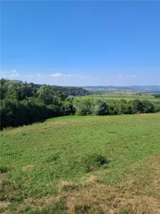 Teren 1,17 ha la pădure cu vedere la râul Olt - foto 9
