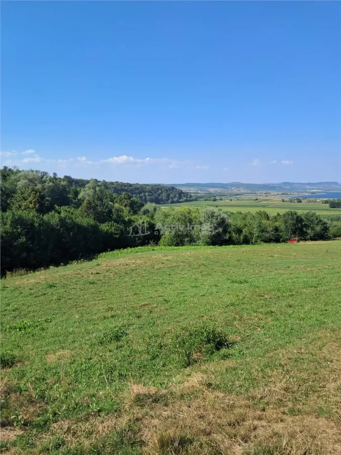 Teren 1,17 ha la pădure cu vedere la râul Olt - foto 9