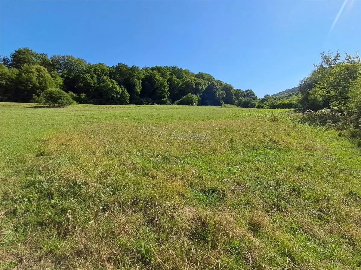 Teren 1,17 ha la pădure cu vedere la râul Olt - foto 10