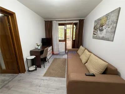 Apartament cu 1 Camera de Inchiriat - Tatarasi - Ciurchi - foto 3