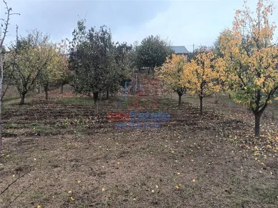 Chicirea Tomesti la sosea Vila P+M SC=140mp Teren 2200mp amenajat vie livada - foto 11