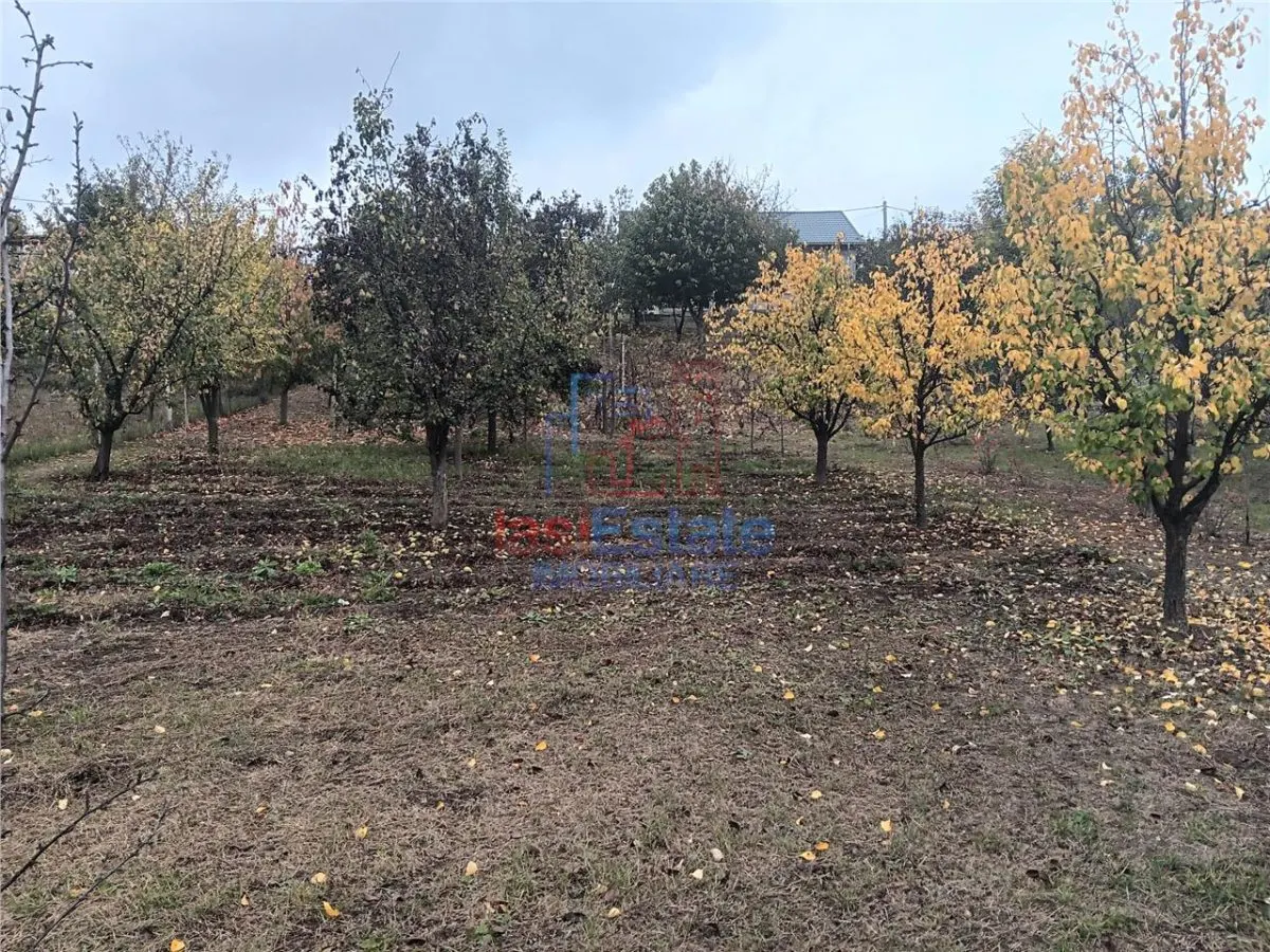 Chicirea Tomesti la sosea Vila P+M SC=140mp Teren 2200mp amenajat vie livada - foto 11