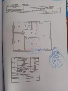 Chicirea Tomesti la sosea Vila P+M SC=140mp Teren 2200mp amenajat vie livada - foto 17
