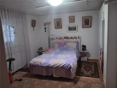 Chicirea Tomesti la sosea Vila P+M SC=140mp Teren 2200mp amenajat vie livada - foto 7