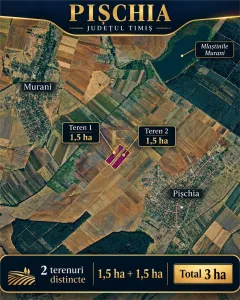 Land for sale 30000 sqm in Pischia - Pischia