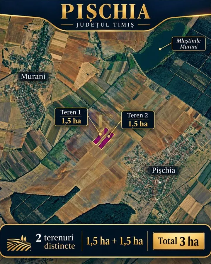 Land for sale 30000 sqm in Pischia - foto 1