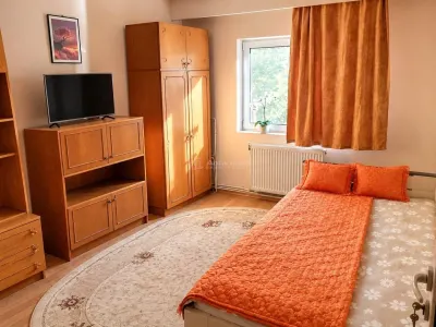 Apartament 4 Camere 2 bai etaj 1 boxa la subsol - foto 8
