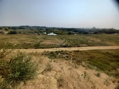 Land for sale 38000 sqm in Adunatii-Copaceni - Adunatii-Copaceni
