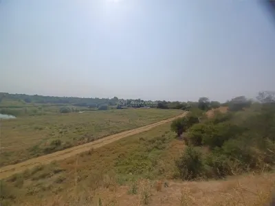 Land for sale 38000 sqm in Adunatii-Copaceni - foto 3