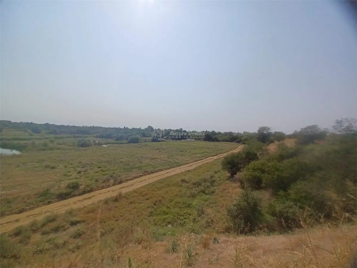 Land for sale 38000 sqm in Adunatii-Copaceni - foto 3