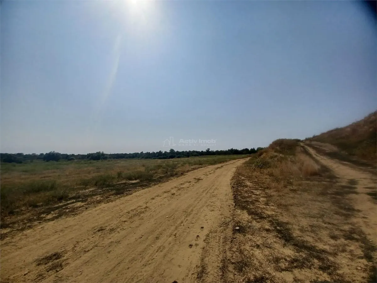 Land for sale 38000 sqm in Adunatii-Copaceni - foto 5